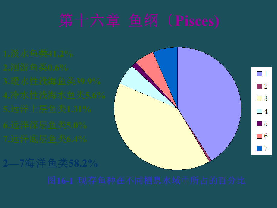 16鱼纲形态备用ppt课件.ppt_第1页