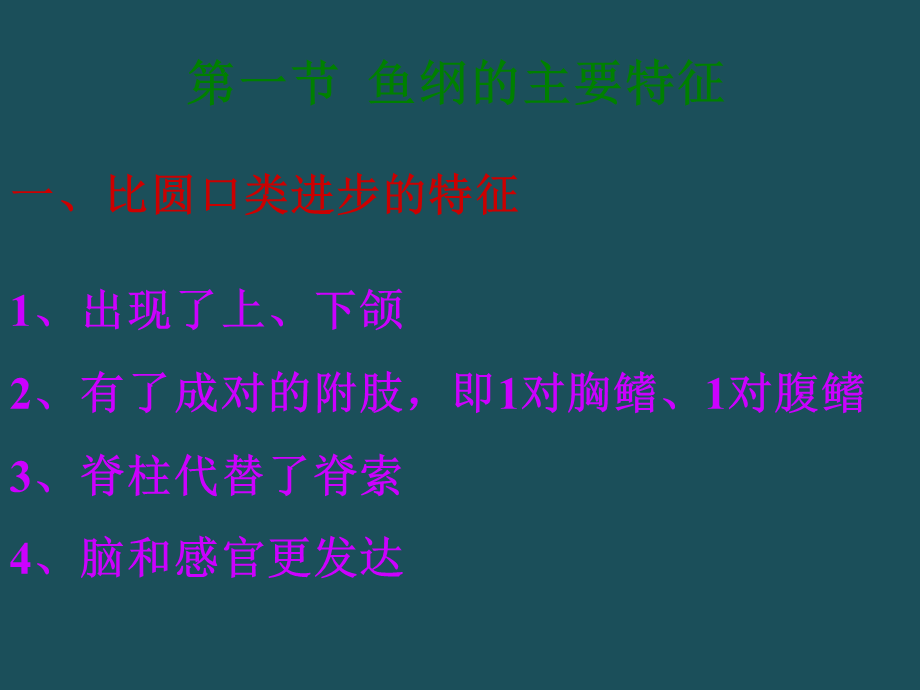 16鱼纲形态备用ppt课件.ppt_第2页