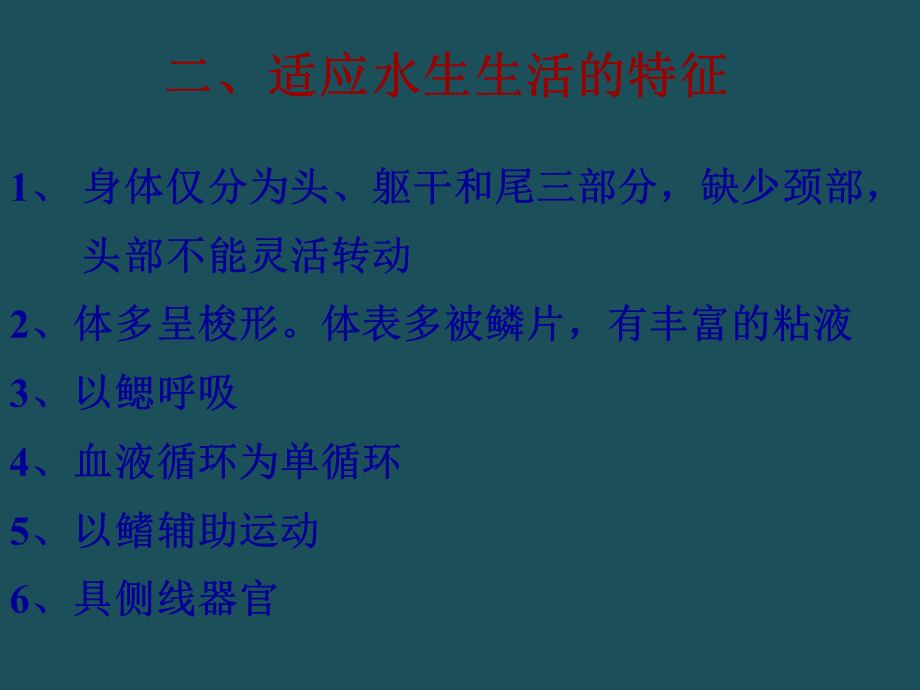 16鱼纲形态备用ppt课件.ppt_第3页