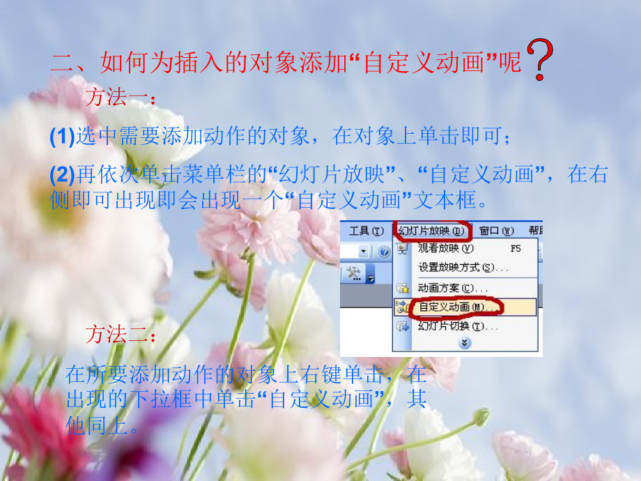 自定义动画教案.ppt_第2页