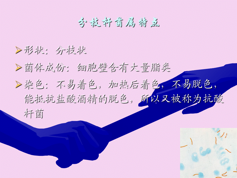 11分枝杆菌属ppt课件.ppt_第2页