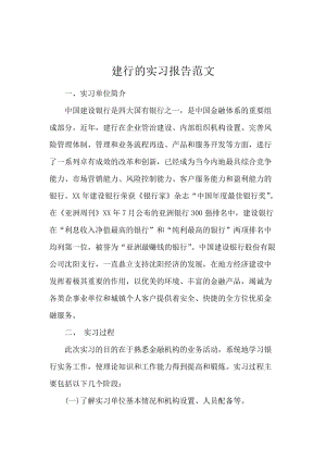 建行的实习报告范文.docx