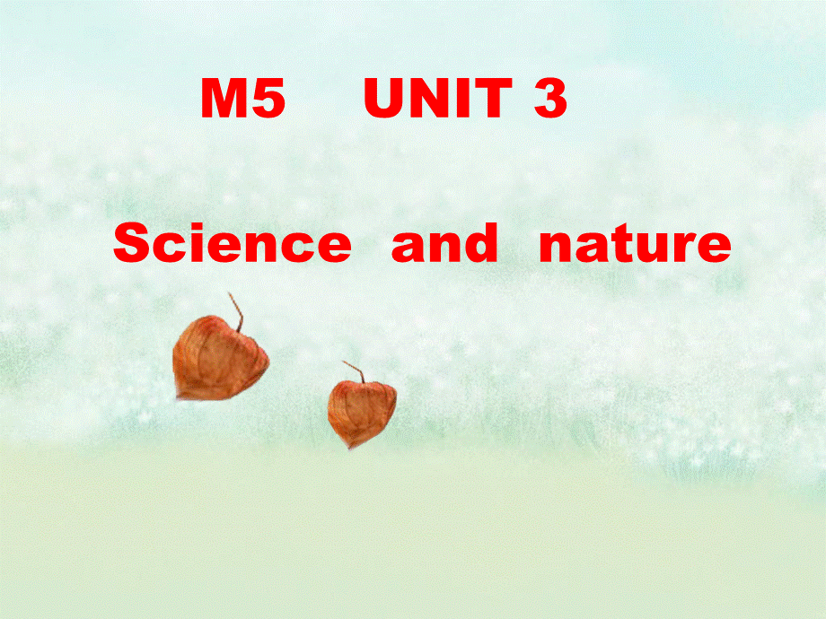 m5unit3reading.ppt_第1页