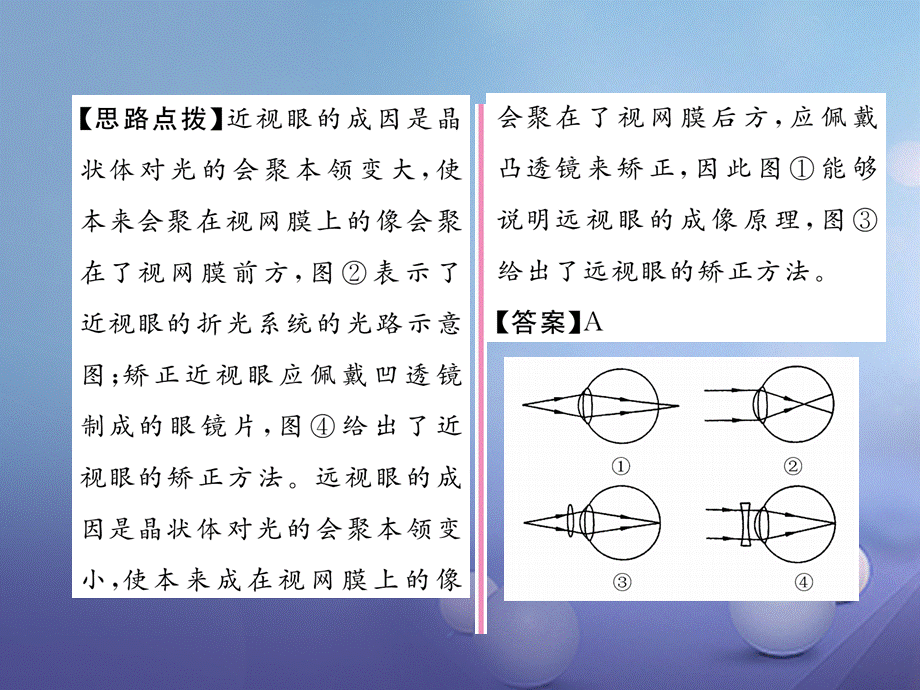 （云南专版）八年级物理全册 4.6 神奇的眼睛 第1课时 眼睛与眼镜作业课件 （新版）沪科版[共19页].ppt_第3页