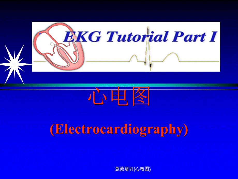 急救培训(心电图)课件.ppt_第1页