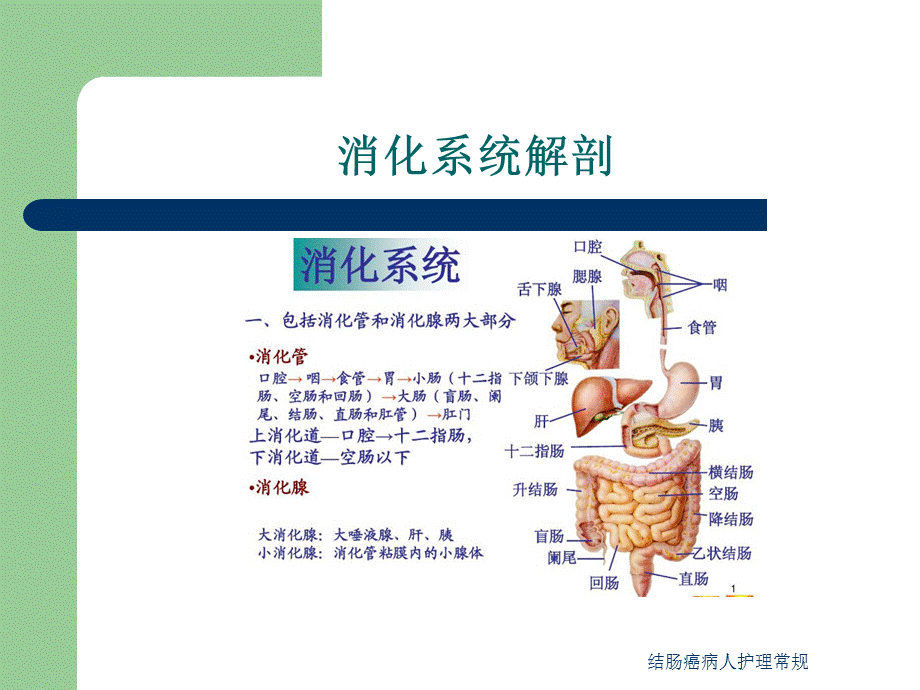 结肠癌病人护理常规课件.ppt_第3页