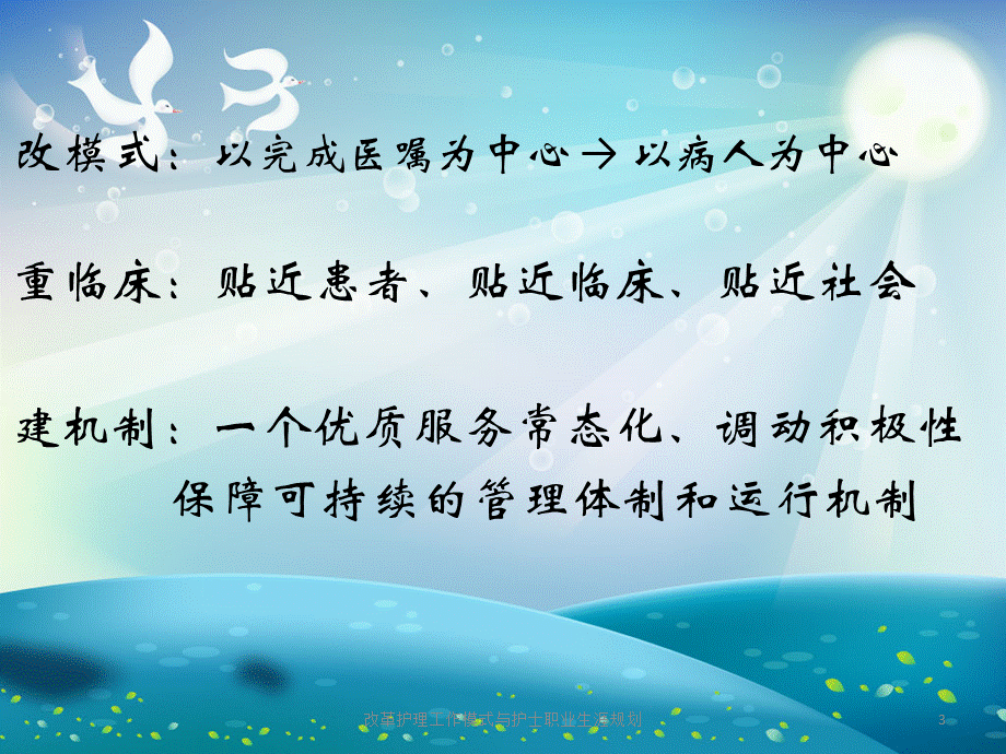 改革护理工作模式与护士职业生涯规划课件.pptx_第3页