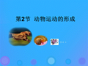 【最新】八年级生物上册 15.2《动物运动的形成》4 .ppt