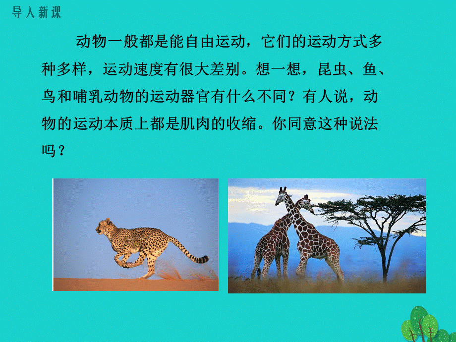 【最新】八年级生物上册 第五单元 第二章 第一节 动物的运动课件（3）.ppt_第2页