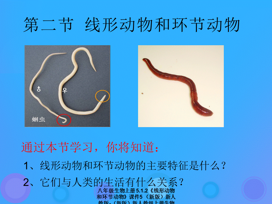 【最新】八年级生物上册 5.1.2《线形动物和环节动物》5 .ppt_第2页