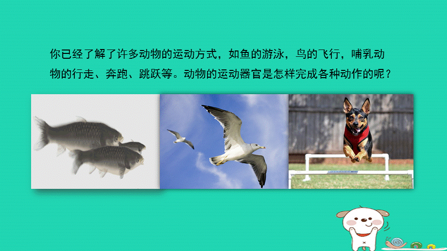 【最新】八年级生物上册 5.2.1《动物的运动》 .ppt_第2页