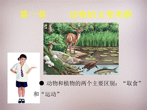 【最新】八年级生物上册 第5单元 第1章 第3节《软体动物和节肢动物》 .ppt