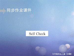 （安徽专版）九年级英语全册 Unit 8 It must belong to Carla Self Check习题课件 （新版）人教新目标版[共10页].ppt