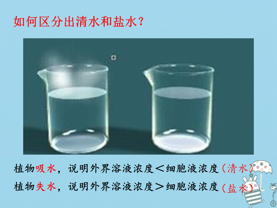 【最新】八年级生物上册 第三单元 第二章 第二节 根对水分的吸收 (1).ppt_第1页