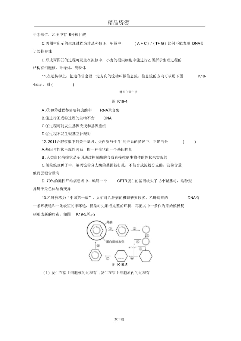 2013届人教版生物一轮复习课时作业(十九)[第19讲基因的表达].docx_第3页