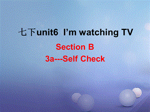 （水滴系列）七年级英语下册 Unit 6 I’m watching TV（第6课时）Section B（3aself check）课件 （新版）人教新目标版[共23页].ppt