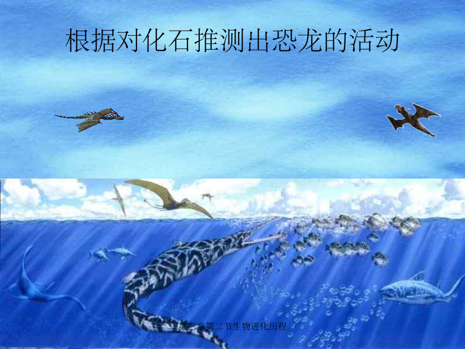 第三章第二节生物进化历程.ppt_第3页