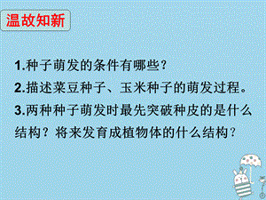 【最新】八年级生物上册 4.1.5《根的结构与功能》课件2.ppt