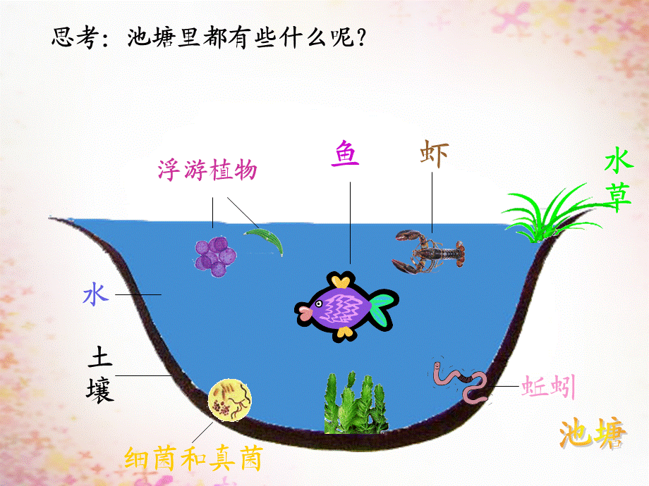 【最新】八年级生物上册 19.1 生态系统的组成（1）.ppt_第1页