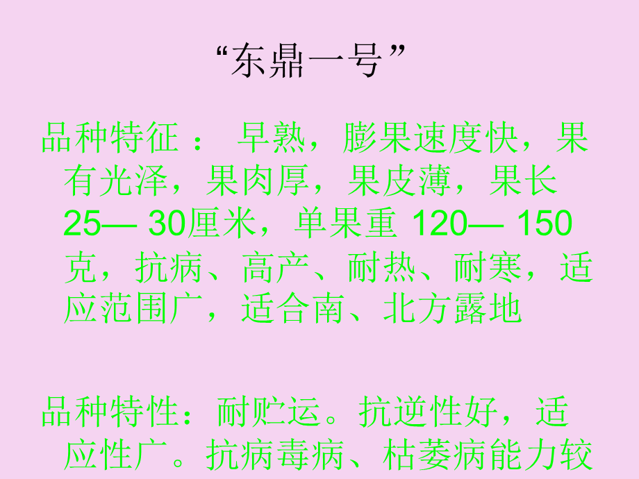 2.1“东鼎一号”辣椒无图栽培ppt课件.ppt_第2页