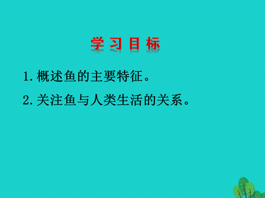 【最新】八年级生物上册 5.1.4 鱼课件 （新版）新人教版-（新版）新人教级上册生物课件.ppt_第2页