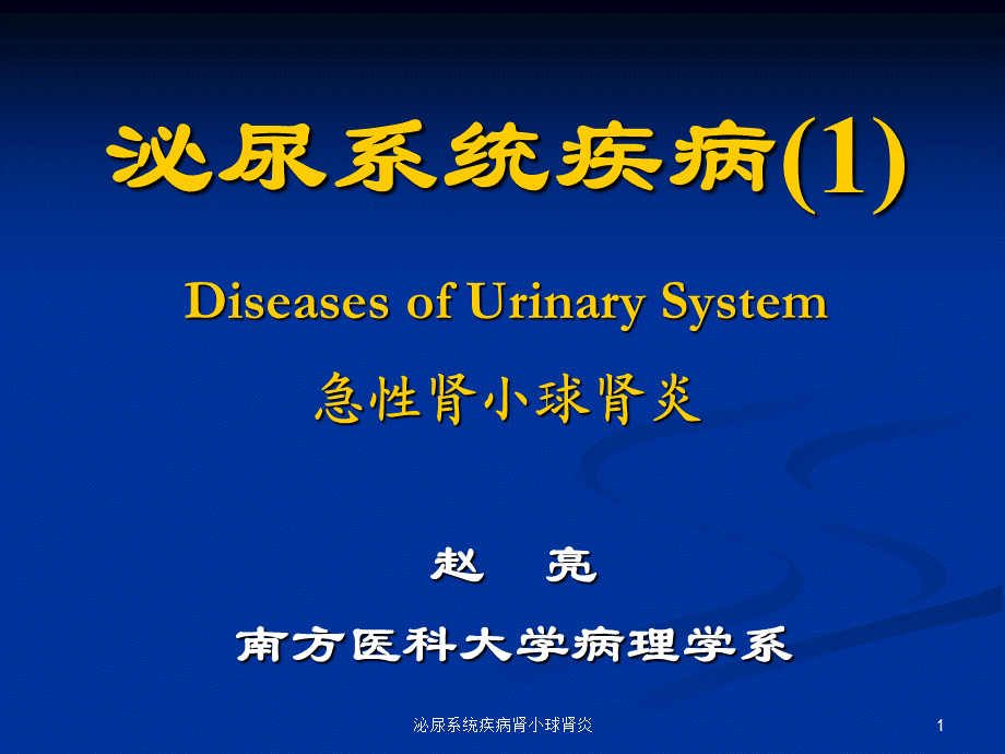 泌尿系统疾病肾小球肾炎课件.ppt_第1页