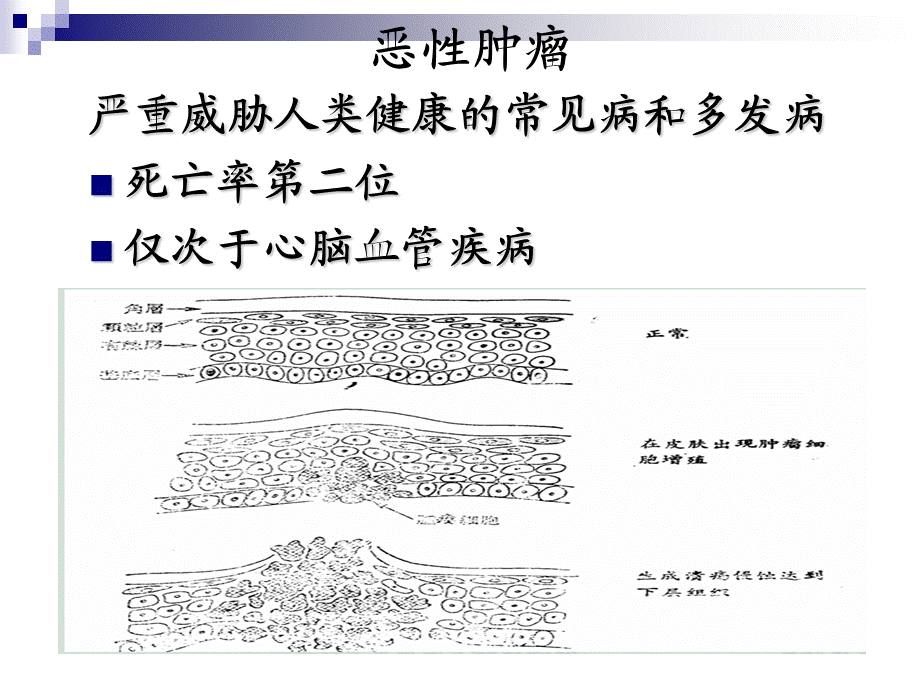 《药物化学基础(中职药剂专业)》第14章--抗肿瘤药.ppt_第3页