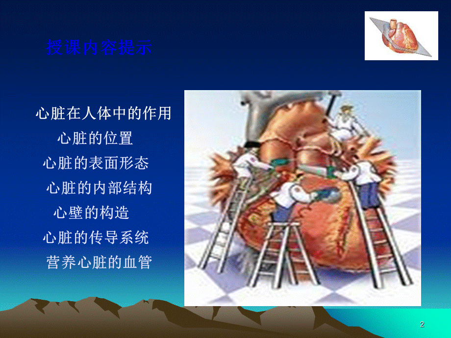 《心脏的解剖生理》演示PPT.ppt_第2页