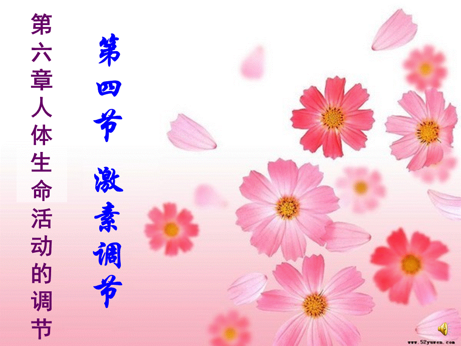 七下激素调节.ppt_第1页