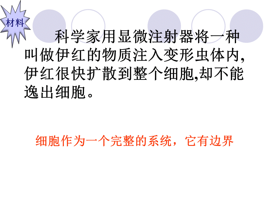 3.1细胞膜系统边界.ppt_第2页