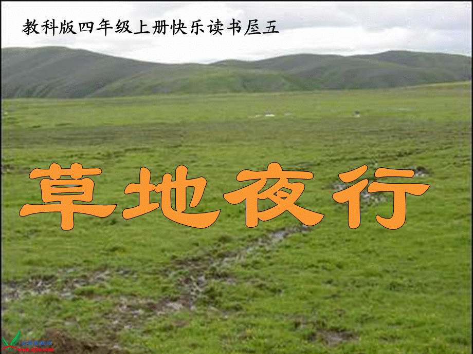 《草地夜行》课件.ppt_第2页