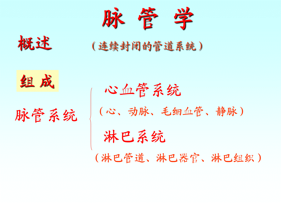 毕解剖脉管学-心血管系统-心脏课件.ppt_第2页