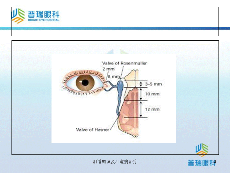 泪道知识及泪道病治疗课件.ppt_第3页