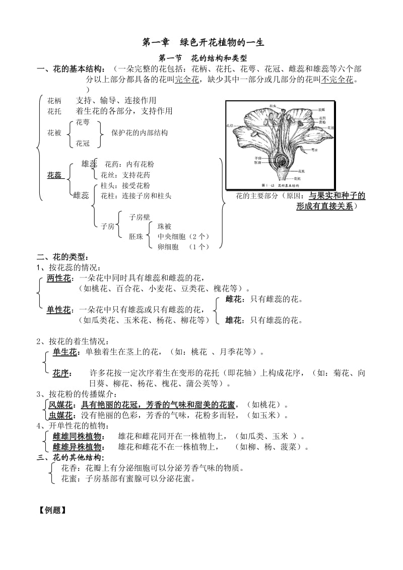 济南版八年级上册生物第一章--绿色开花植物的一生复习知识点.doc_第1页