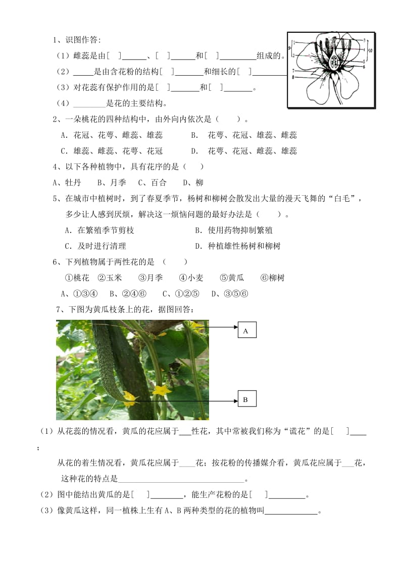 济南版八年级上册生物第一章--绿色开花植物的一生复习知识点.doc_第2页