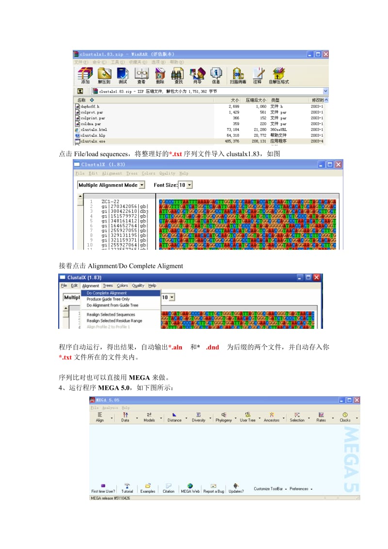 生物学利用MEGA5.0和Clustalx软件构建进化树.doc_第2页