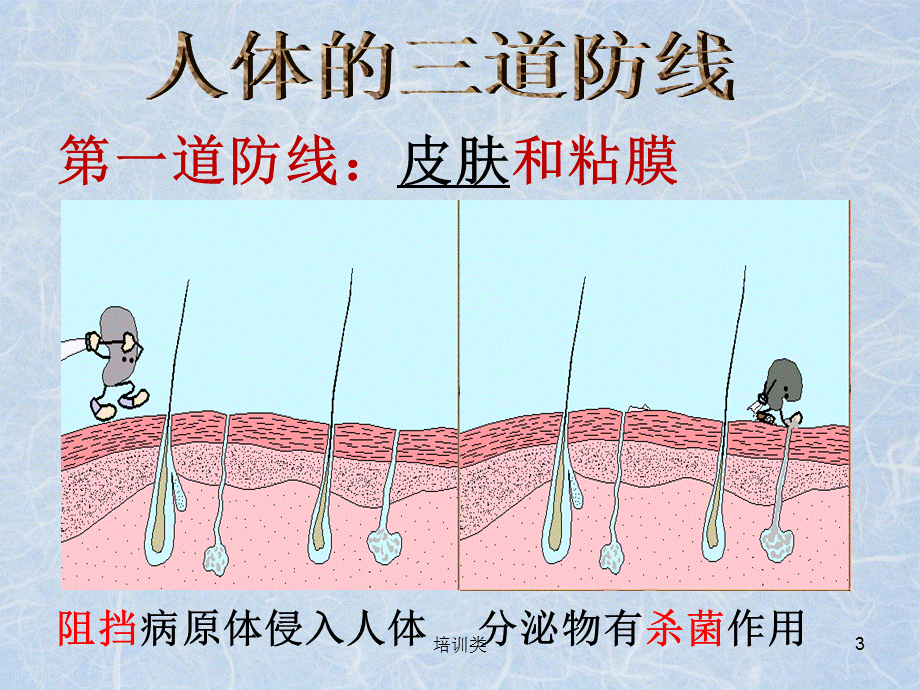 人体三道防线 微课课件[教育类别].ppt_第3页