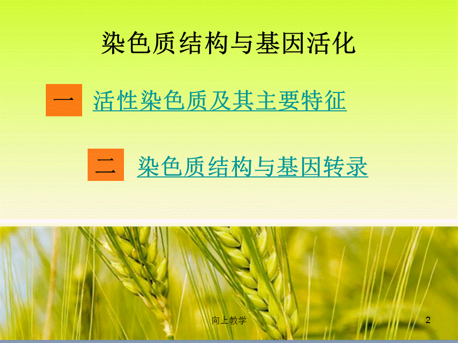 染色质结构与基因转录[竹菊书苑].ppt_第2页