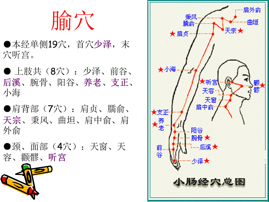 《手太阳小肠经腧穴》演示PPT.ppt_第2页