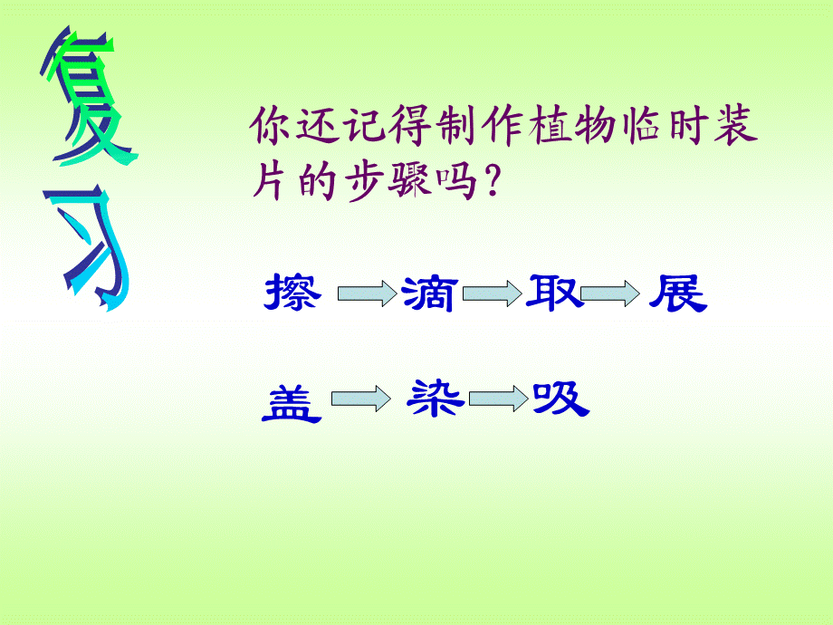 第三节-动物细胞(完整版).ppt_第2页