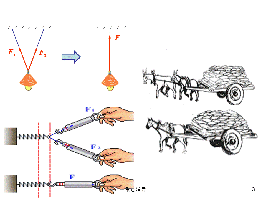 力的合成--总结[重要知识].ppt_第3页