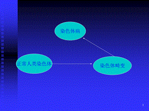 《染色体病》演示PPT.ppt