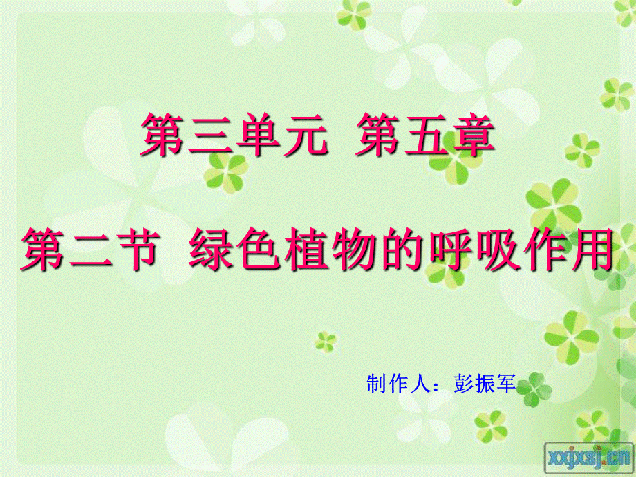 呼吸作用pzj.ppt_第1页