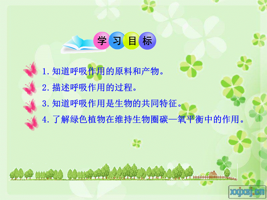 呼吸作用pzj.ppt_第2页