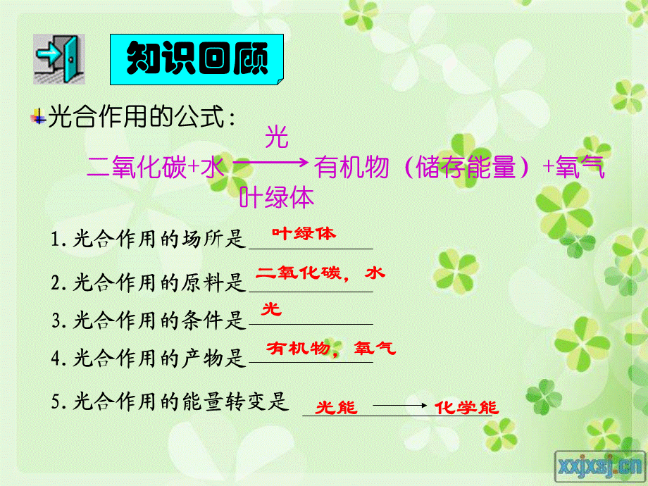 呼吸作用pzj.ppt_第3页