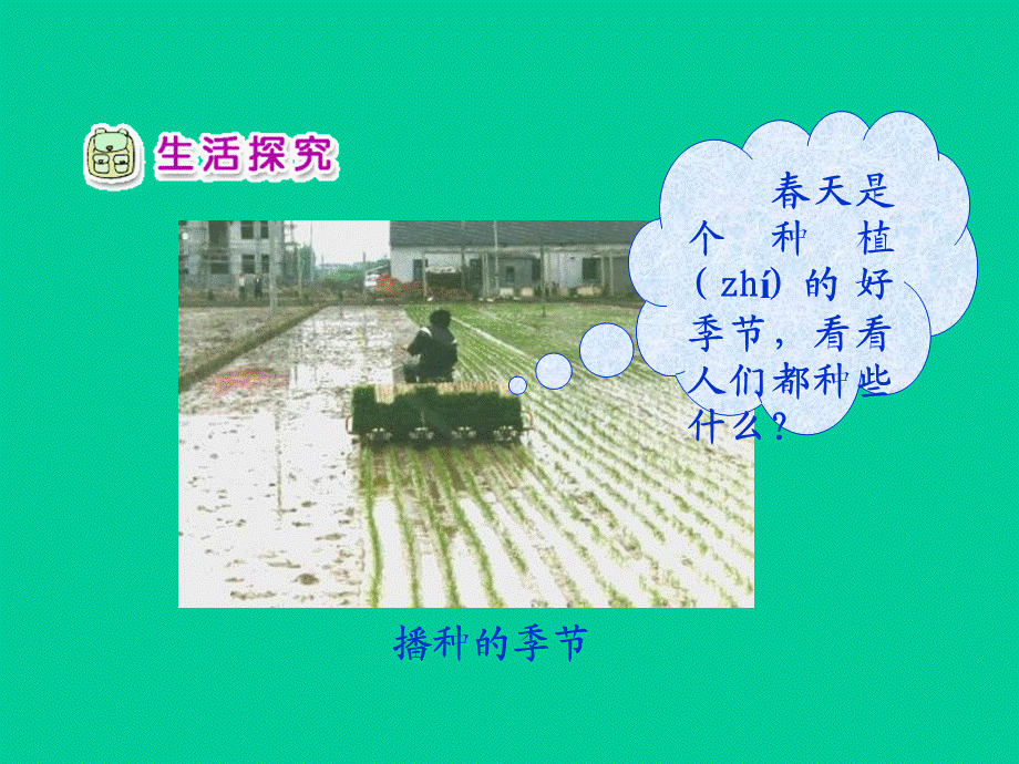 小苗快快长.ppt_第3页