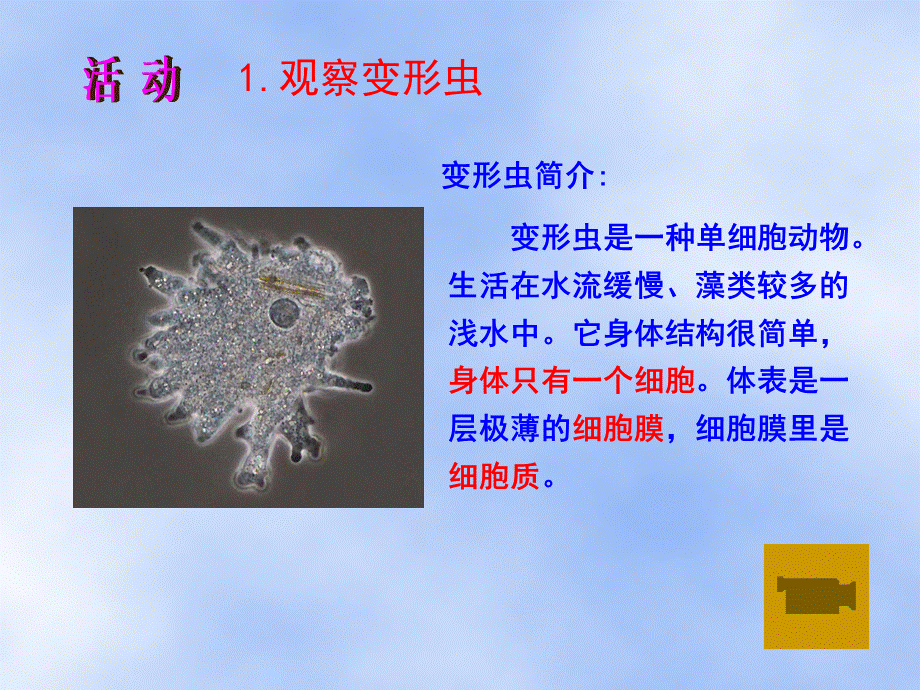 3.2细胞是生命活动的单位(北师大版七年级上).ppt_第3页