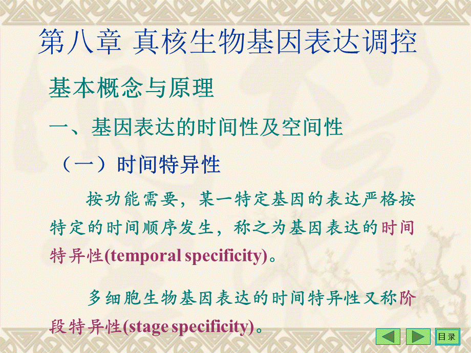 《现代分子生物学》第八章-真核生物基因表达调控.ppt_第1页