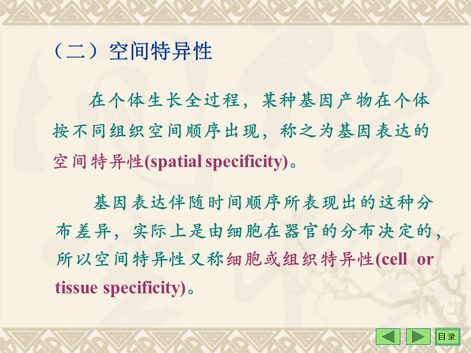 《现代分子生物学》第八章-真核生物基因表达调控.ppt_第2页