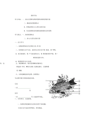 初中生物鱼导学案.docx